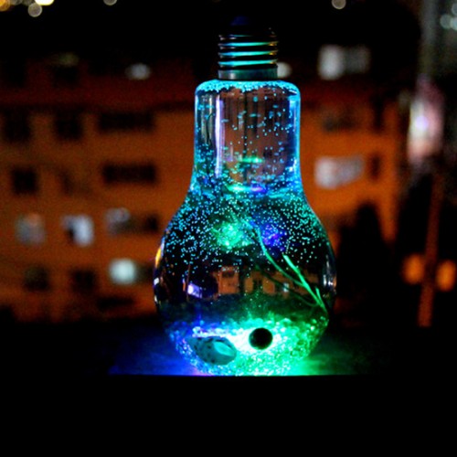 LED 전구병 국산 마리모 DIY 세트